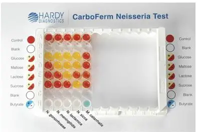 Neisseria and Moraxella in Carboferm neisseria test