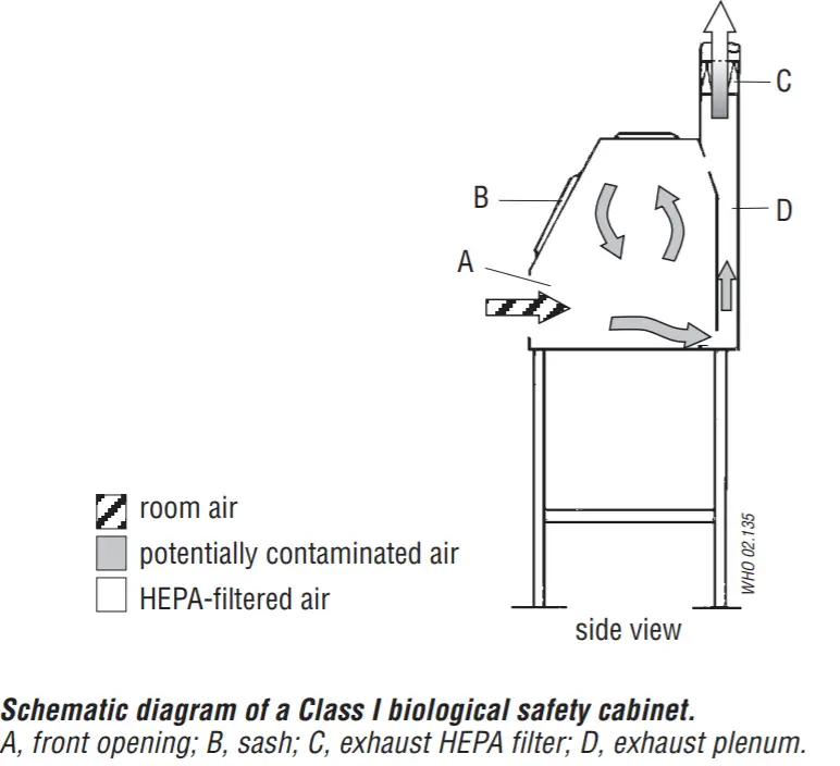 Biological Safety Cabinet (BSC): Types and Working Mechanism – Microbe ...