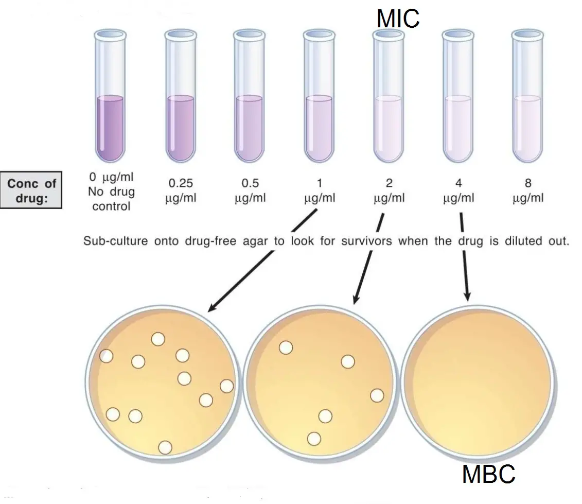 Minimum Inhibitory Concentration (MIC)  and  Minimum Bactericidal Concentration (MBC)