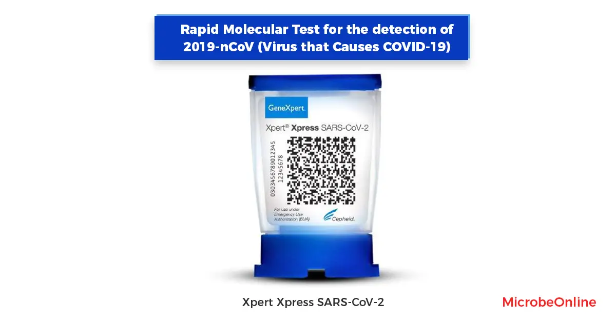 Rapid detection of SARS-CoV-2: Diagnosis of COVID-19