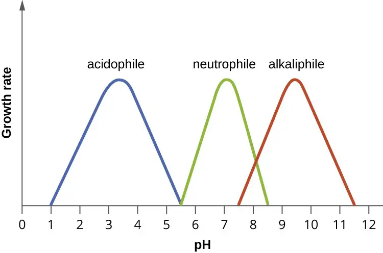 Alkaliphile Acidophile and Neutrophile