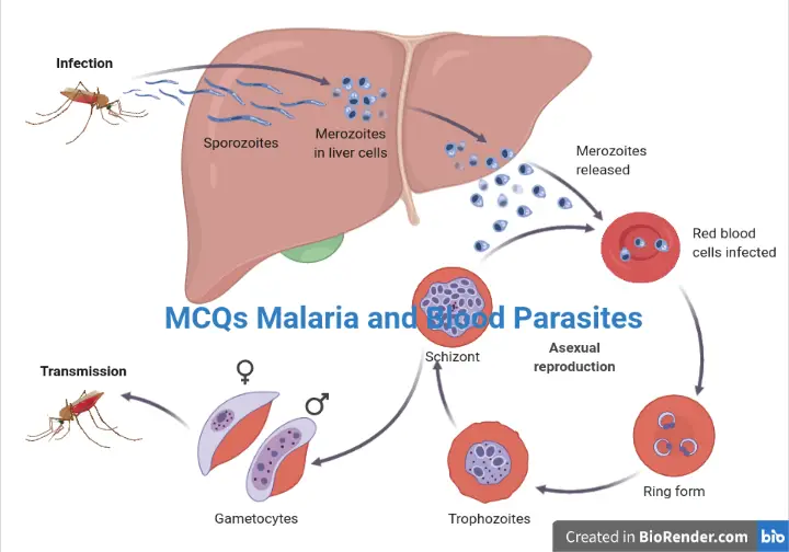 MCQ in Parasitology: Malaria