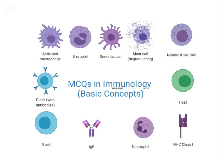 Mcq In Immunology Answers With Explanation Microbe Online