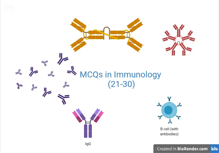 MCQs in Immunology with Answers (21-30)