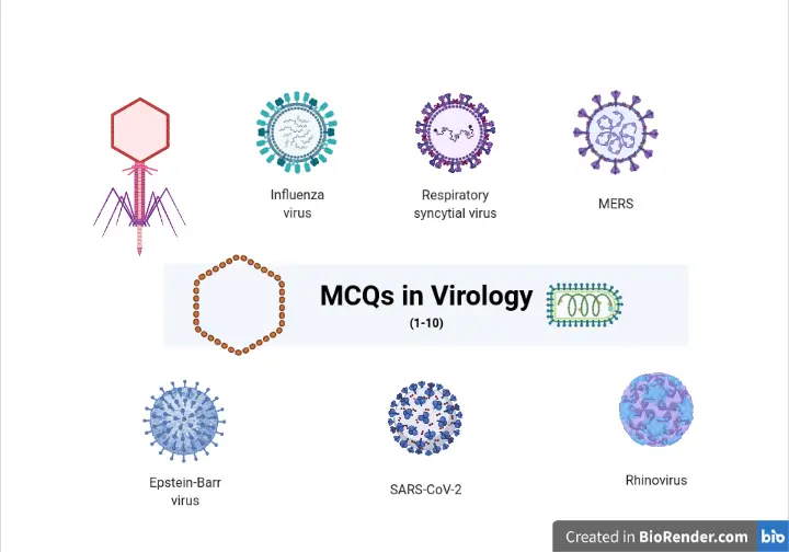 MCQ in Virology (1-10) with Answers • Microbe Online