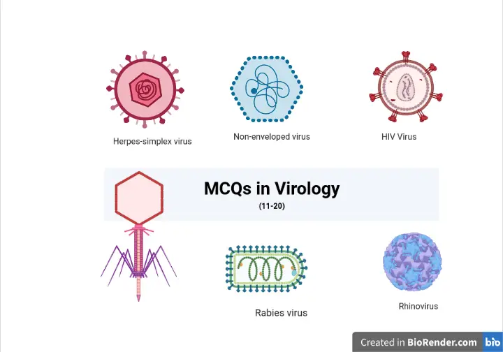 MCQ: Virology-2 (11-20) with Answers