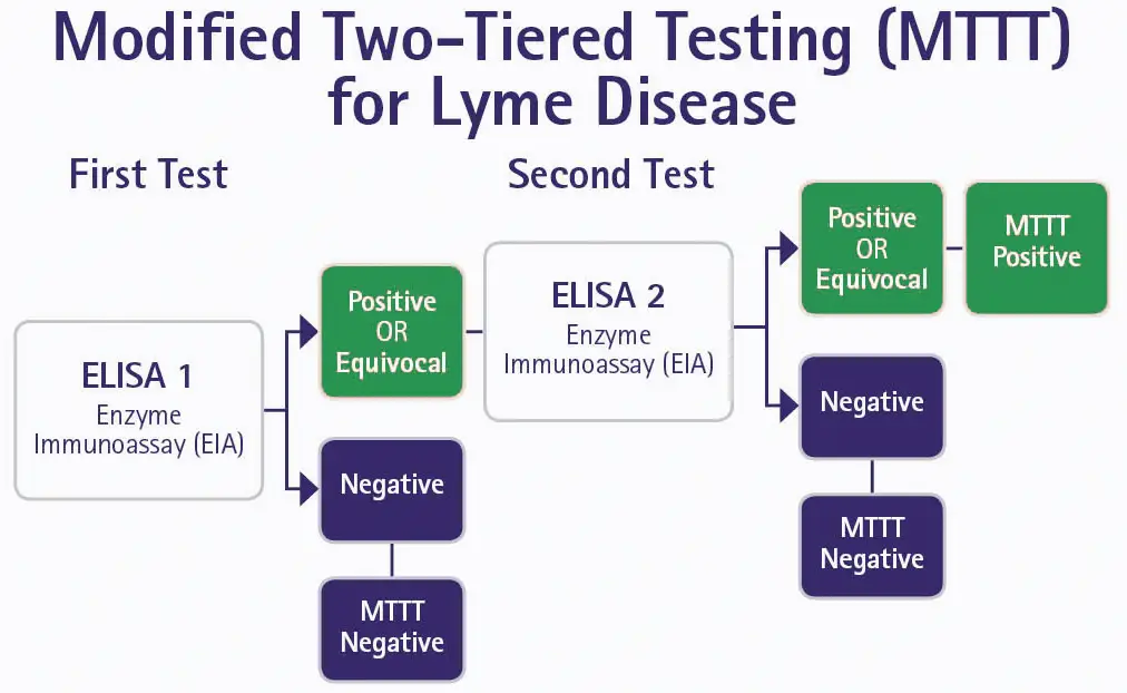 Modified two tiered testing for lyme disease