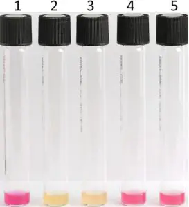 PYR broth test Positive (1,4 and 5): brilliant red-fuchsia color. Negative (2&3)  yellow or weakly orange color 