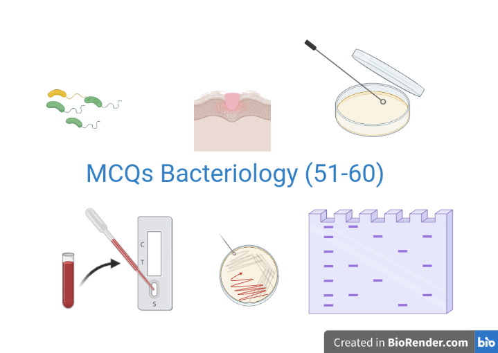 MCQ Bacteriology (51-60): Question with Answers