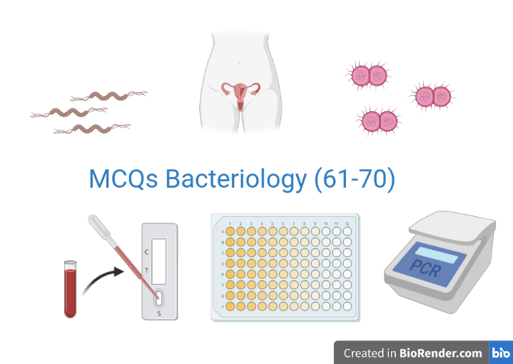 MCQs Bacteriology 61-70
