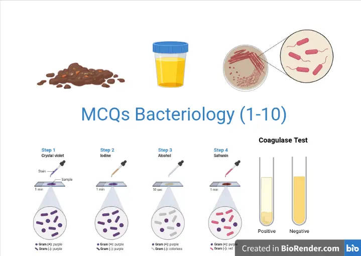 MCQs Microbiology: Bacteriology with Answers
