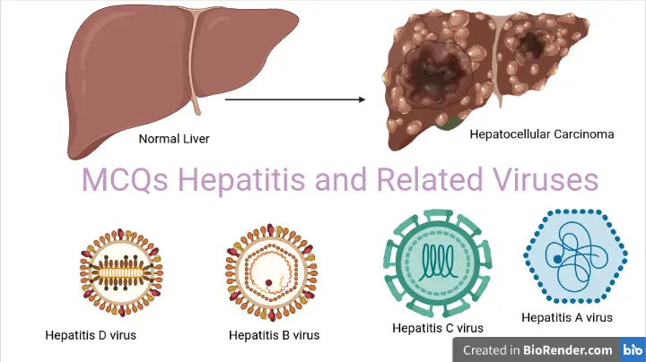 MCQ on Hepatitis and Related Viruses