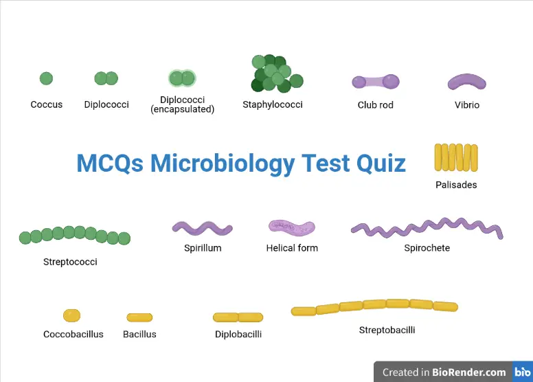 MCQs in Microbiology Test Quiz