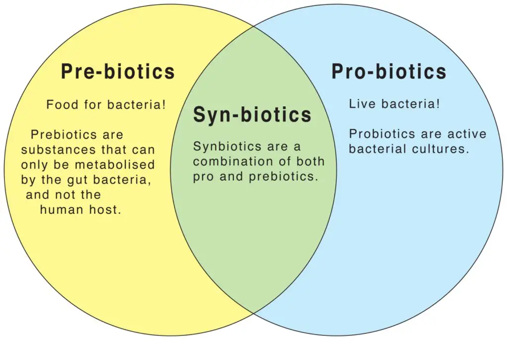 Prebiotics, Probiotics and Synbiotics