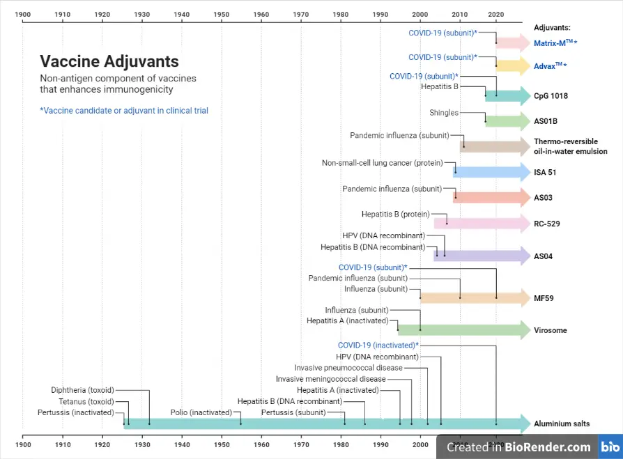 Timeline of Adjuvant Used in Human Vaccines