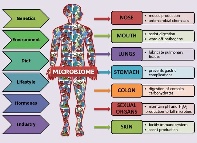 Microbiome in different parts of human