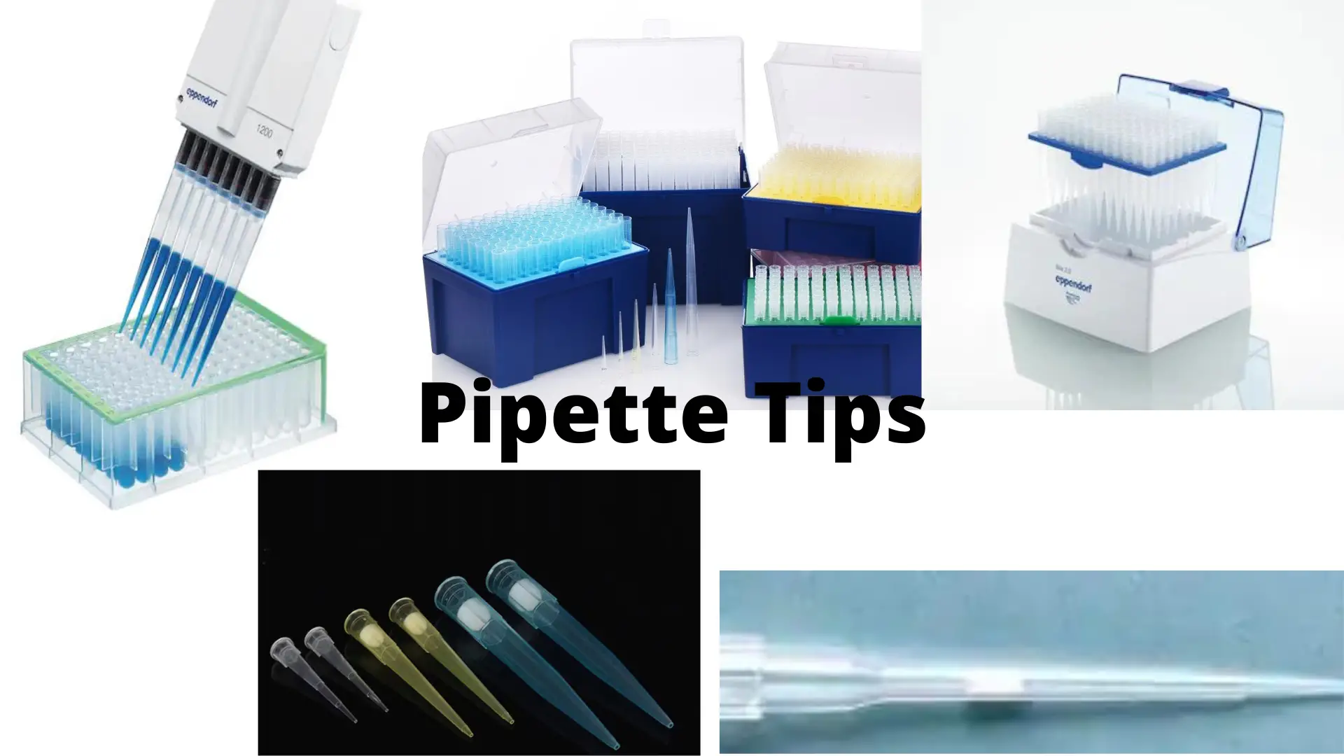 Pipette Tips: Types, Uses, and Criteria to Choose It