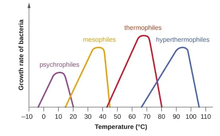 temperature requirement for bacterial growth