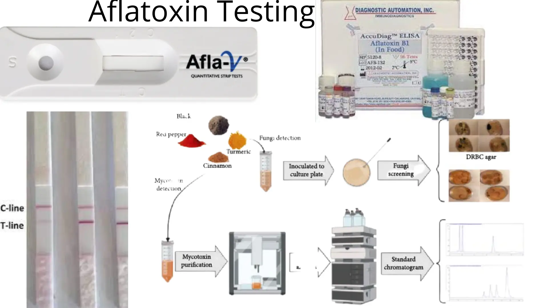 Aflatoxin Testing: Materials and Methods