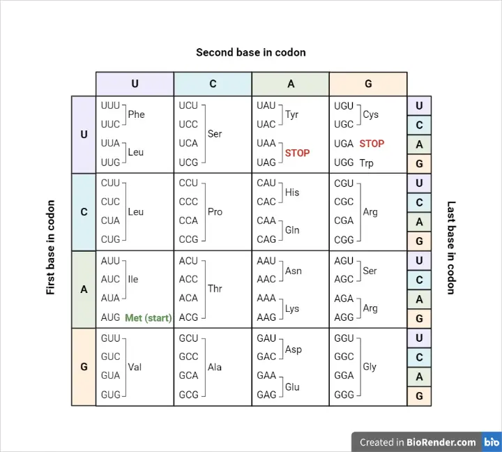 The genetic code chart