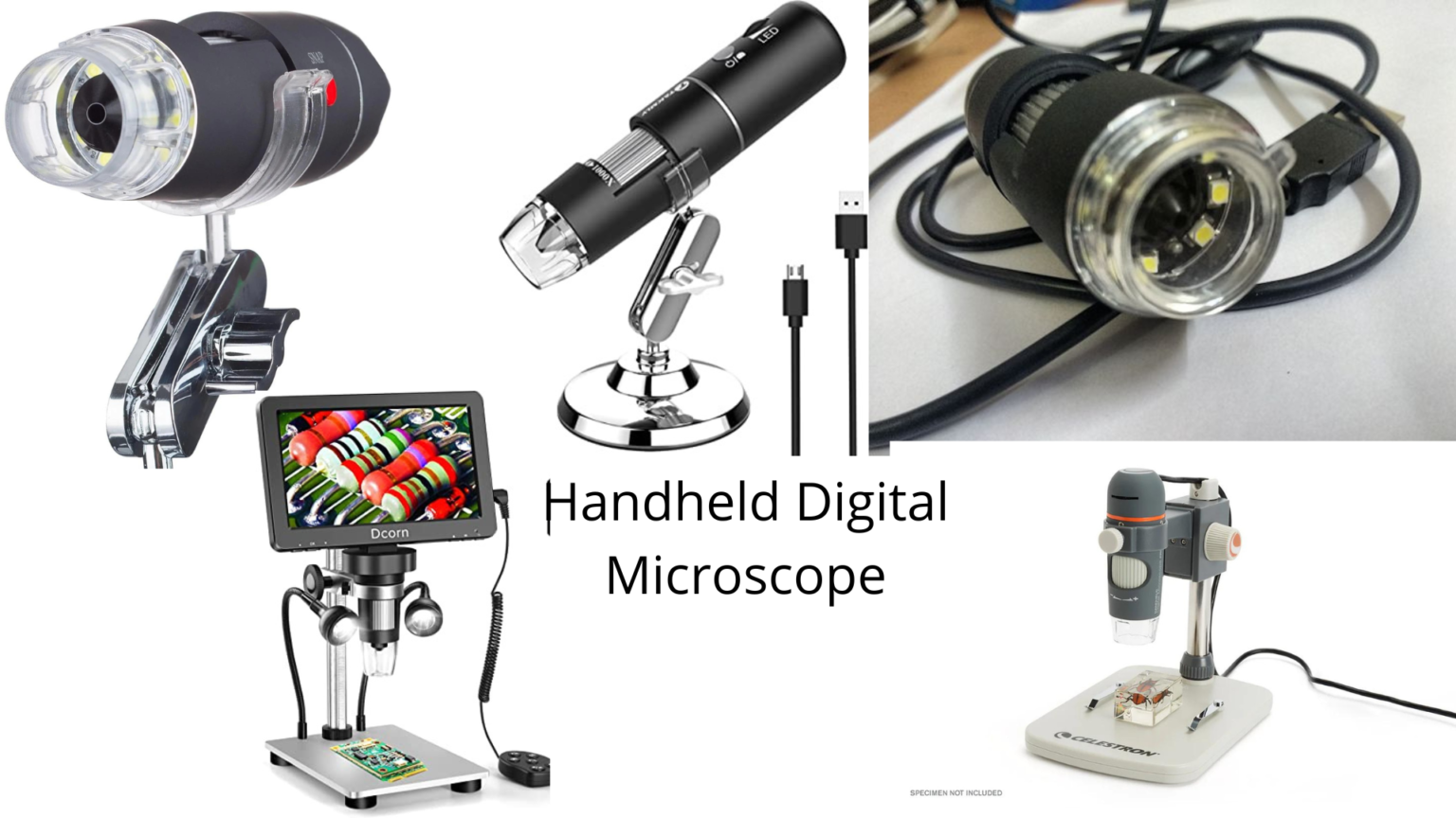 Handheld Digital Microscope Parts, Principle, and Uses Microbe Online