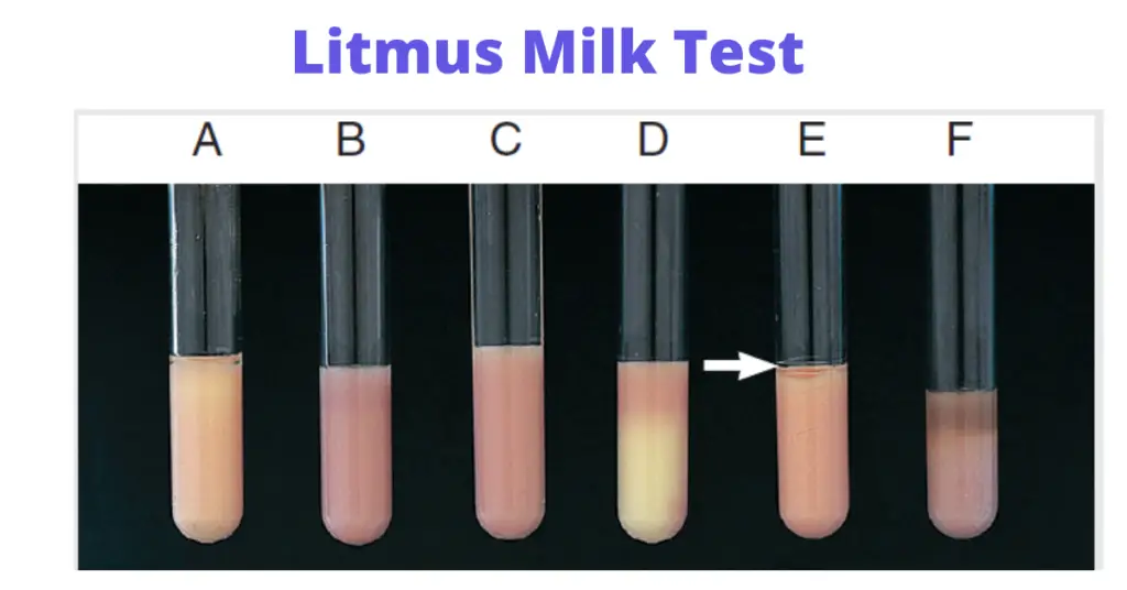 Litmus milk test