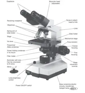 Parts of a Microscope with Their Functions – Microbe Online