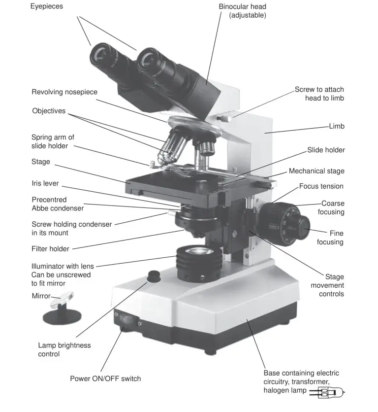 Parts of Binocular Medical Microscope with built-in Illumination