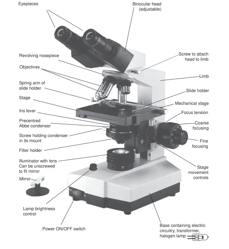 Parts Of A Microscope Worksheet Answers