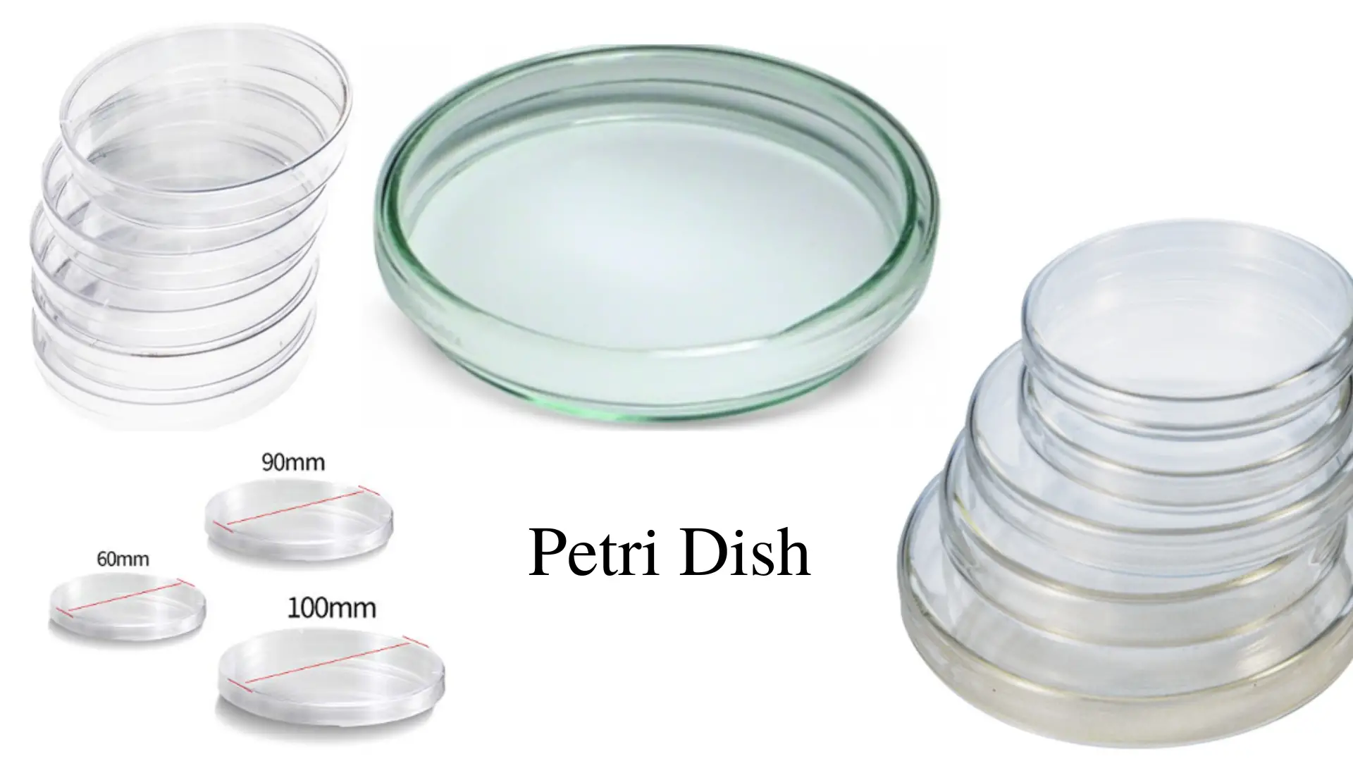 Dish type. Slides, Test tubes, and Petri dishes.