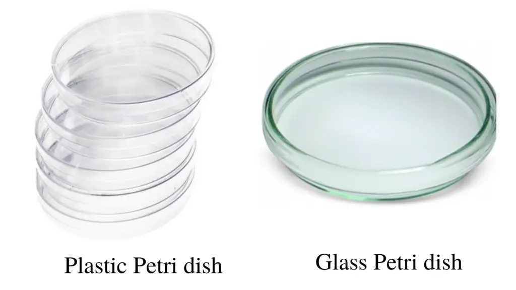 plastic petri dish
glass petri dish