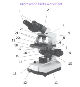 Parts of a Microscope with Their Functions – Microbe Online