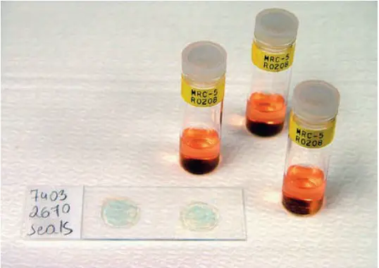 Shell vial cell culture tubes and stained coverslips 
