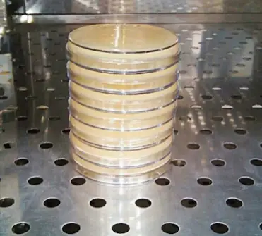 inverted petri dish