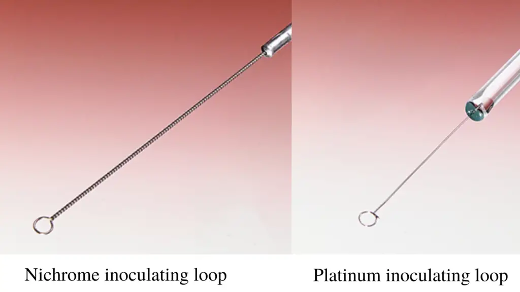 wire of inoculating loop