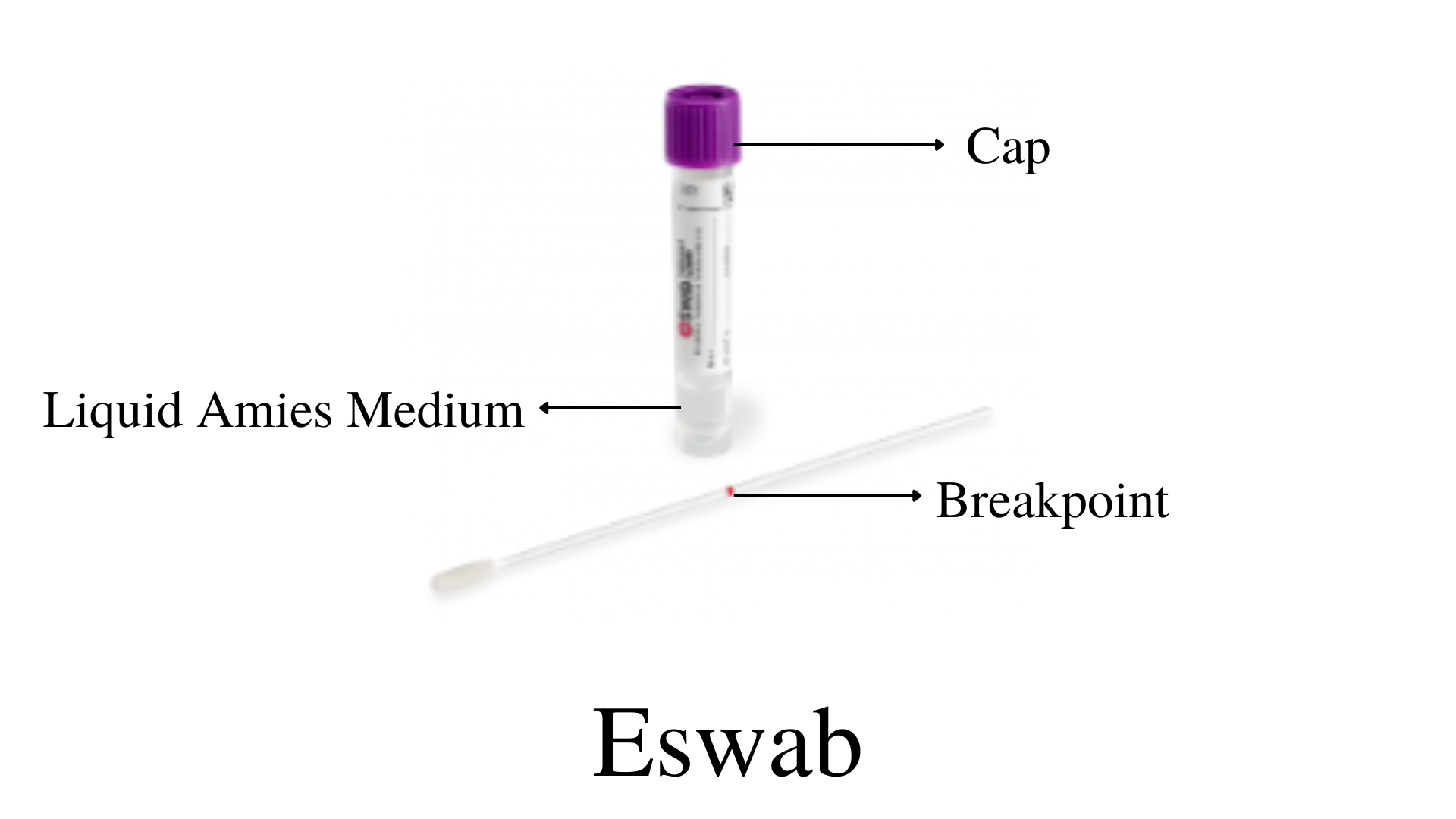 Eswab Types and Uses • Microbe Online