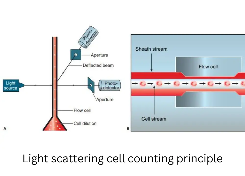 Illustration of light-scattering principle