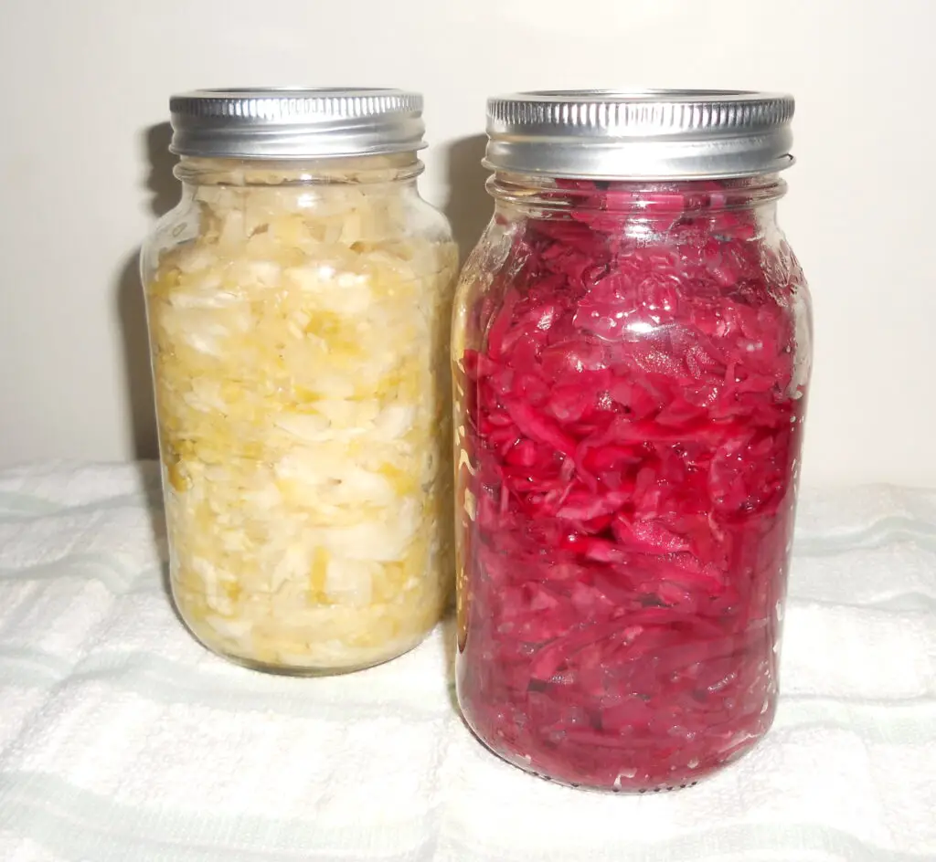 Sauerkaut (fermented food from cabbage) 