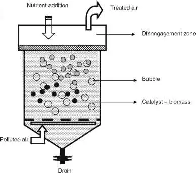 Fluidized-bed bioreactor