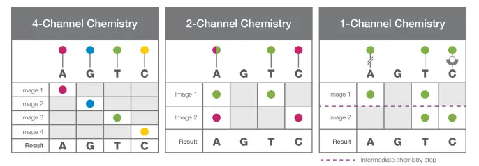 Four-, Two- and One- Channel Chemistry: Four Channel chemistry uses nucleotides labelled with four different dyes, Two channel chemistry uses two different fluorescent dyes and one channel Chemistry uses only one dye.
